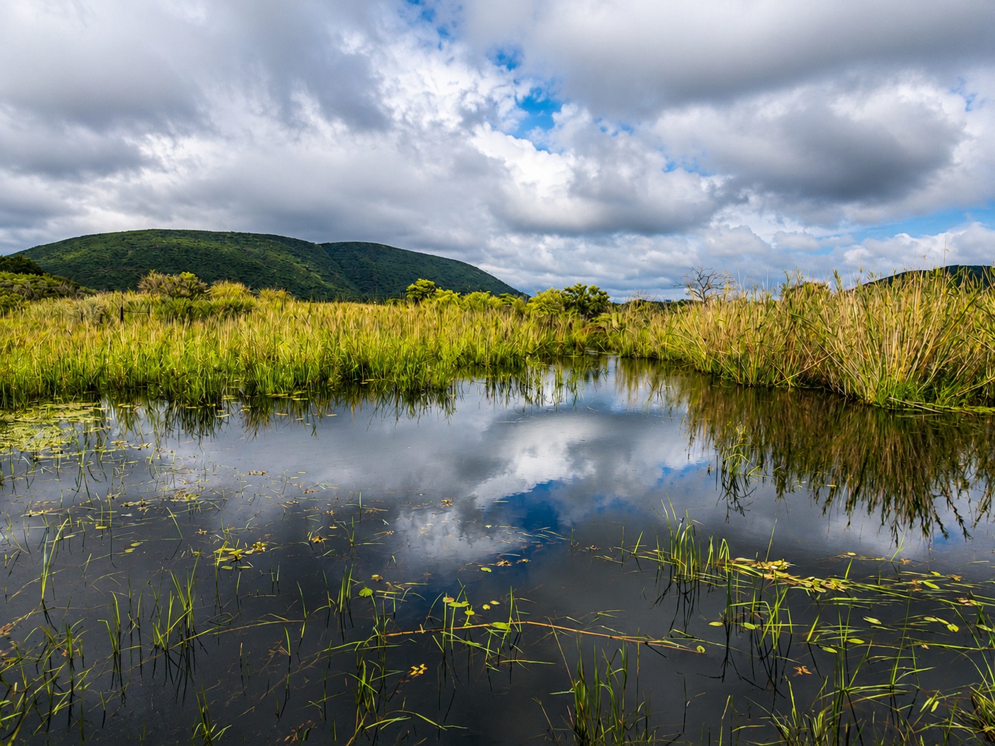 Natural landscape surrounding the safari lodge