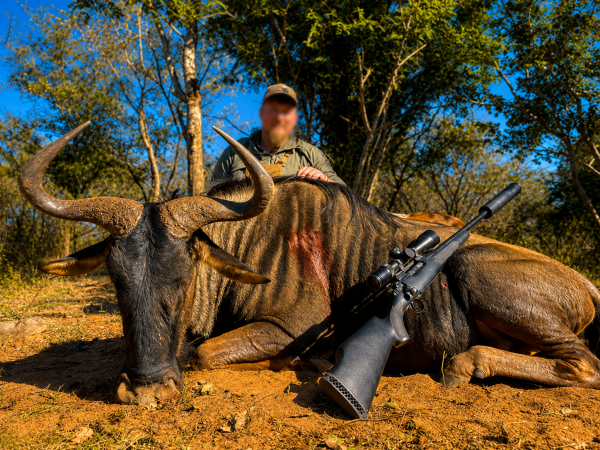 African safari hunting memory